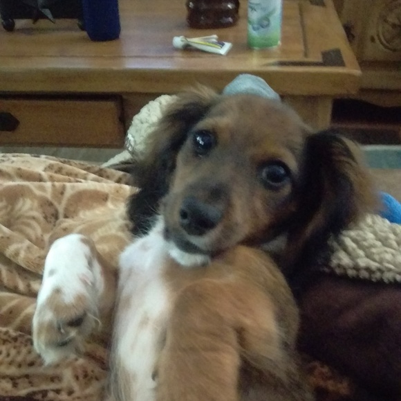 MAKE AN OFFER!!💙 - Picture 3 of 3